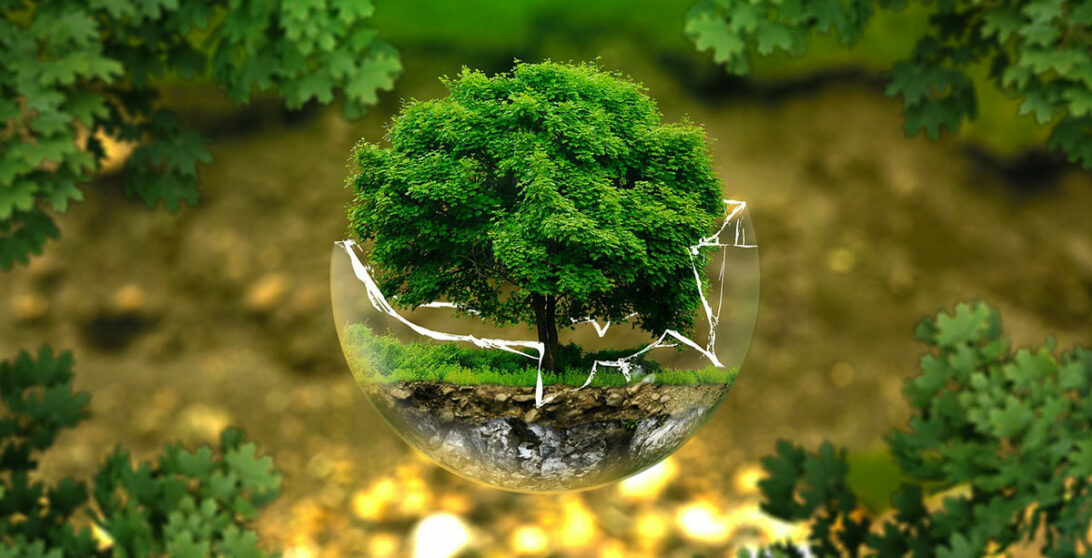 Impact de l'IA sur l'environnement
