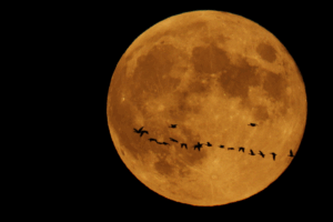 Cas client migration DAM