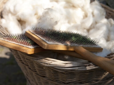 Image d'illustration