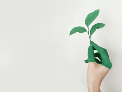 Environnement-main-feuille